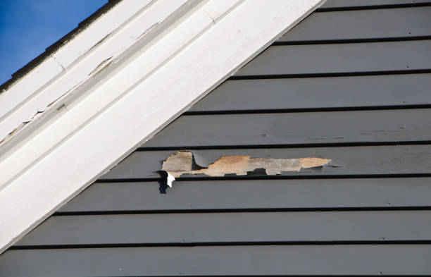 Best Engineered Wood Siding  in Holly Ridge, NC